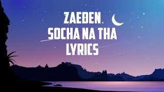 Zaeden  socha na tha Lyrics [upl. by Weisler]