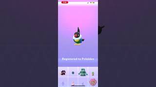 Hatching Chatot in Pokemon Go [upl. by Ursuline856]