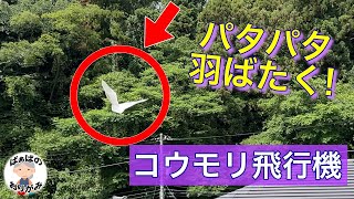 【折り紙】パタパタ羽ばたく紙飛行機「コウモリ飛行機」の作り方 A Flapping Paper Airplane that Flies Like a Bat【音声解説あり】  ばぁばの折り紙 [upl. by Aicined]