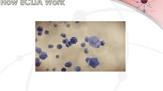 ECLIA TEST Electro Chemi Luminescent Immuno Assay [upl. by Sherrill624]