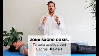 Zona Sacro Coxis Terapia asistida con Sacrus Parte I [upl. by Turino]