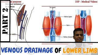 Anatomy  Venous Drainage of Lower Limb  Perforating vein  Made Easy by Dr Laxman Khanal  Part 2 [upl. by Teryl]