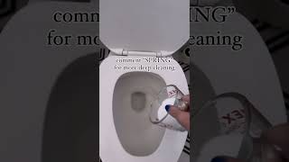 Homemade Foaming Toilet Cleaner [upl. by Anuait50]