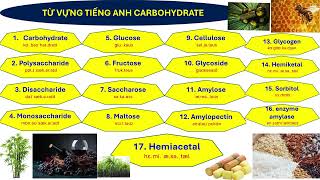 HÓA 12 MỚI  PHIÊN ÂM TÊN GỌI CARBOHYDRATE [upl. by Ahseina]