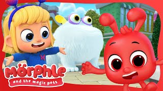 NEW SERIES  Morphle and the Magic Pets  Gobblefrog  Available on Disney and Disney Jr  Morphle [upl. by Kwok799]