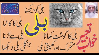 Khwab mein Billi Dekhna  Khwab mein Billi ka Katna Gosht Dekhna ya Khana  خواب میں بلی دیکھنا [upl. by Noslen189]