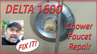 SHOWER DRIPPING How to Fix a Delta Shower Faucet leak Single Handle Universal Seals Delta 1600 [upl. by Shear]