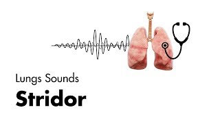 Stridor  Lung Sounds  MEDZCOOL [upl. by Dlnaod45]