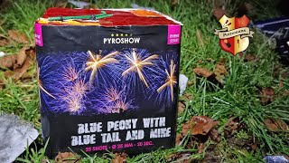 Pyroshow Blue Peony  Broekhoff Event Fire 25sh Vuurwerk [upl. by Yerhpmuh]