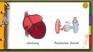 Alat Pencernaan dan Alat Peredaran Darah Manusia IPA SD Kelas 5 Video Sampel Flashdisk Bimbel [upl. by Zennie]