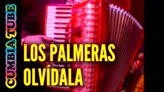 Los Palmeras  Olvídala [upl. by Ahtrim436]