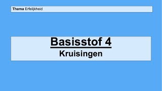 VMBO 3  Erfelijkheid  Basisstof 4 Kruisingen [upl. by Fogel]