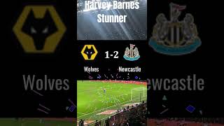 Highlights  Wolves vs Newcastle 12  Newcastle 21 Wolves  Newcastle vs Wolves  Premier League [upl. by Mcnair]