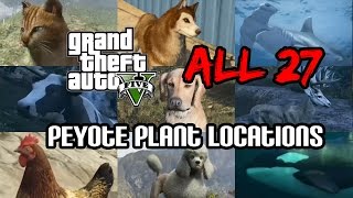 GTA 5  Peyote Plant Locations 0127 [upl. by Birk539]