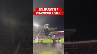 BYU Mascots Incredible Athletic Skills  MustSee Performance [upl. by Bartko]