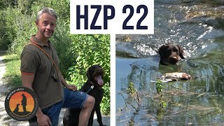 Vorbereitung HZP Wasserarbeit mit einem DD  Hundeschule UB [upl. by Ynahteb138]