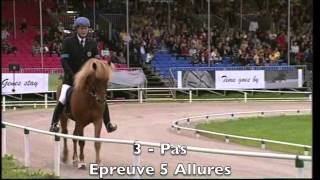 Compétition quot5 Alluresquot  Equitation Islandaise [upl. by Neelear]