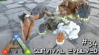 ARK Survival Evolved  BREEDING LVL 200 ARGE amp QUETZ  Ep 34 Server Gameplay [upl. by Sheri108]