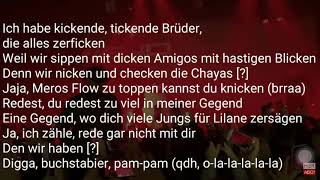 Mero 428 Träume werden wahr feat Brado 428 Lyrics [upl. by Culosio266]