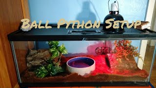 Ball Python Setup 20 gallon [upl. by Carew]