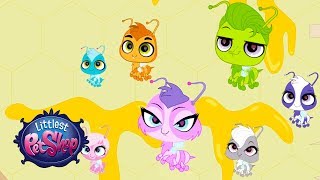 Littlest Pet Shop Season 2  Honey is Good For the Soul Official Clip [upl. by Bodkin]