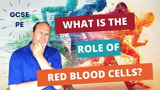 GCSE PE What is the role of red blood cells [upl. by Katti]