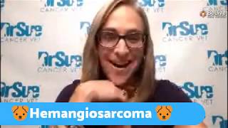 Hemangiosarcoma Live Q amp A [upl. by Belle830]