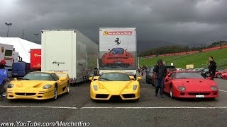 Unloading the Beasts Ferrari Enzo F50 and F40 [upl. by Yrrad]