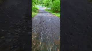 Cycling in the south downs explore travel nature adventure woods southdowns horse cycle [upl. by Caty200]