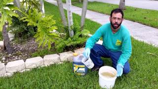 Palm Tree Fertilizer NaturePest 7862227069 [upl. by Chung847]