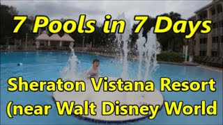 7 Pools in 7 Days  Sheraton Vistana Resort near Walt Disney World [upl. by Ecneps576]