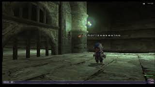 FFXI Horizon The Root of the Problem BLM Wizards Petasos [upl. by Cleodel]