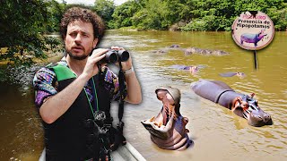 Buscando la plaga de hipopótamos de Escobar en Colombia  ¿Es real ⚠️🦛🇨🇴 [upl. by Luke370]