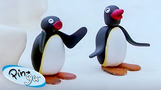 Pingu Causes Mischief 🐧  Pingu  Official Channel  Cartoons For Kids [upl. by Elwood880]