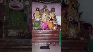 Bada deulare chakiri khadiya milebaki mo pain odisha jagannath ବଡ଼ ଦେଉଳରେ ଚାକିରି ଖଡିୟ ମିଲେବକି [upl. by Steffen]