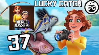 NEW Fishing Event  Lucky Catch 🏡 Merge Mansion  Gameplay Walkthrough Part 37 [upl. by Glanti371]