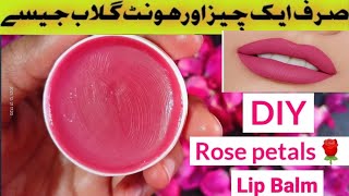 Lip Balm  Rose Balm for Pink Lips  Diy Pink Lips  Homemade Lips Waxcookandhacks [upl. by Asilram844]