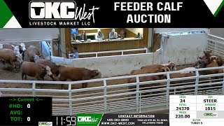 1022024  OKC West Feeder Calf Auction [upl. by Elihu]