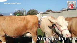 Armeno la tradizionale Fiera Zootecnica questanno diventa Fiera Agricola [upl. by Hewett]