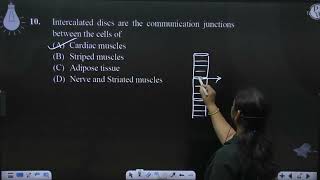 Intercalated discs are the communication junctions between the cells of [upl. by Vharat]