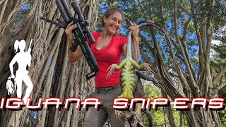 Jessica brings the Green Ghost to come out and play with invasive iguanas [upl. by Scarface750]