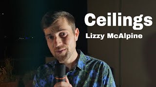 Lizzy McAlpine  Ceilings Cover by Nick amp Brad [upl. by Frederica191]