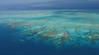 Australias Great Barrier Reef disappearing due to climate change [upl. by Aeriel]