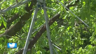 Severe thunderstorm hits Oconto County community [upl. by Wolcott]