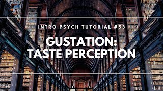 Gustation Taste Perception Intro Psych Tutorial 53 [upl. by Oirifrop450]