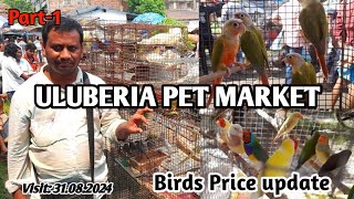 Uluberia Pet Market Recent Exotic Birds price update  Part1 pets bird trending [upl. by Geiger]