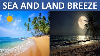 SEA BREEZE AND LAND BREEZE  AIR  SCIENCE EDUCATIONAL VIDEO FOR CHILDREN [upl. by Alethea]