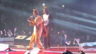 What Does the Fox SayYlvis live [upl. by Little]