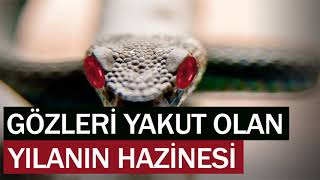 GÖZLERİ YAKUT OLAN YILANIN HAZİNESİ ibretlik hikayeler sesli kitap dini hikayeler hüseyin duru [upl. by Alliuqet]