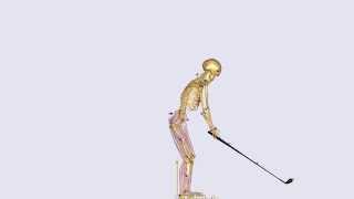 Golf swing motion analysis using C3D file [upl. by Iblok242]